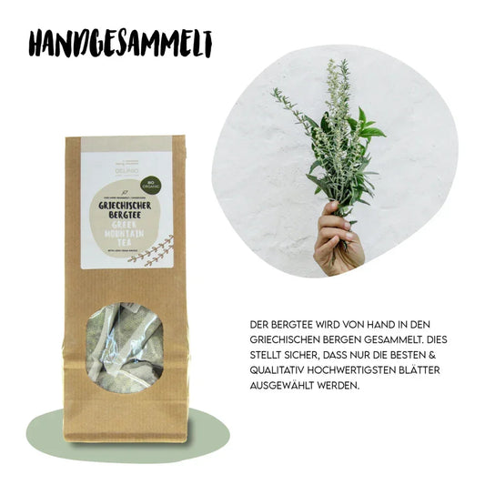Bergtee Vorteile Handgesammelt